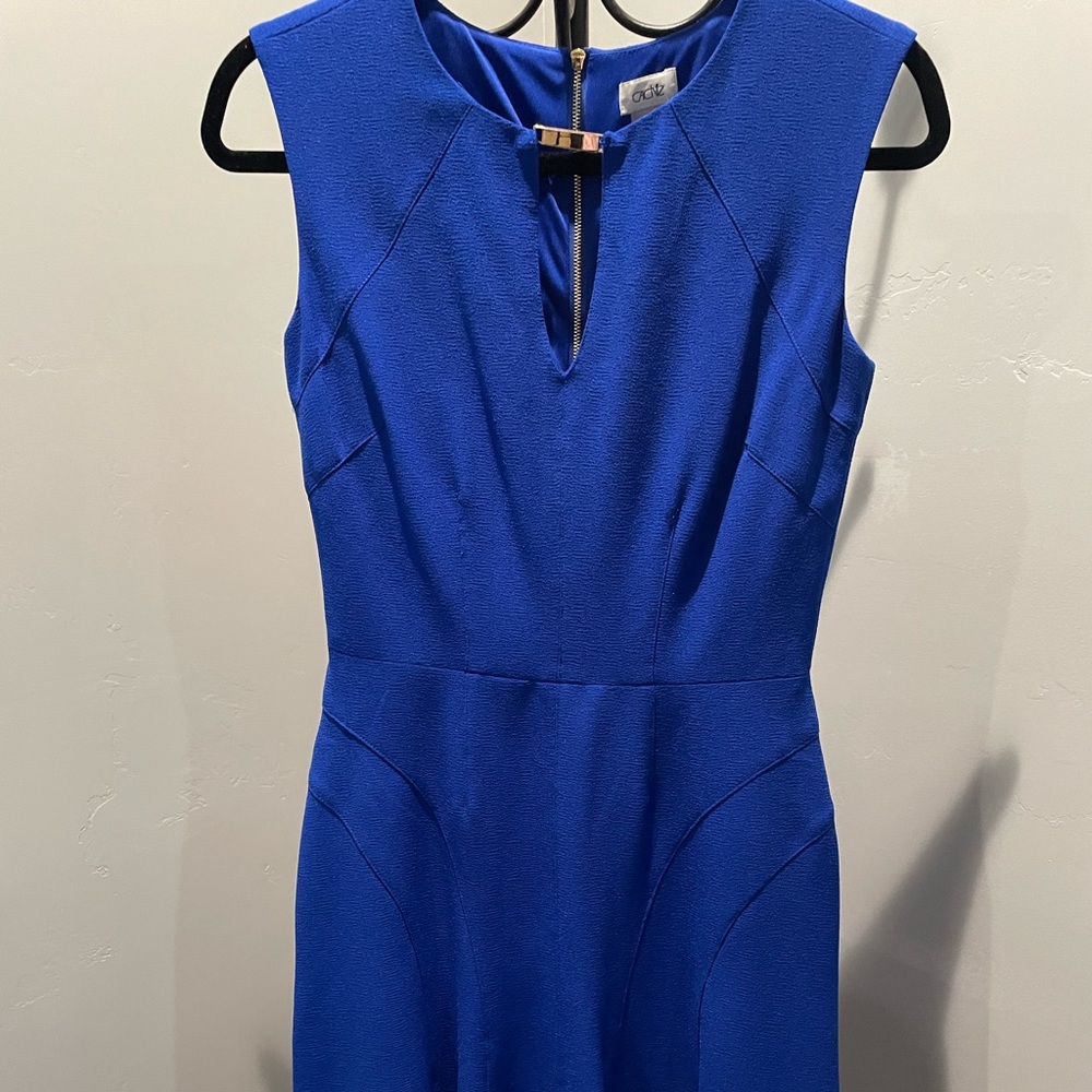 Cache blue dress